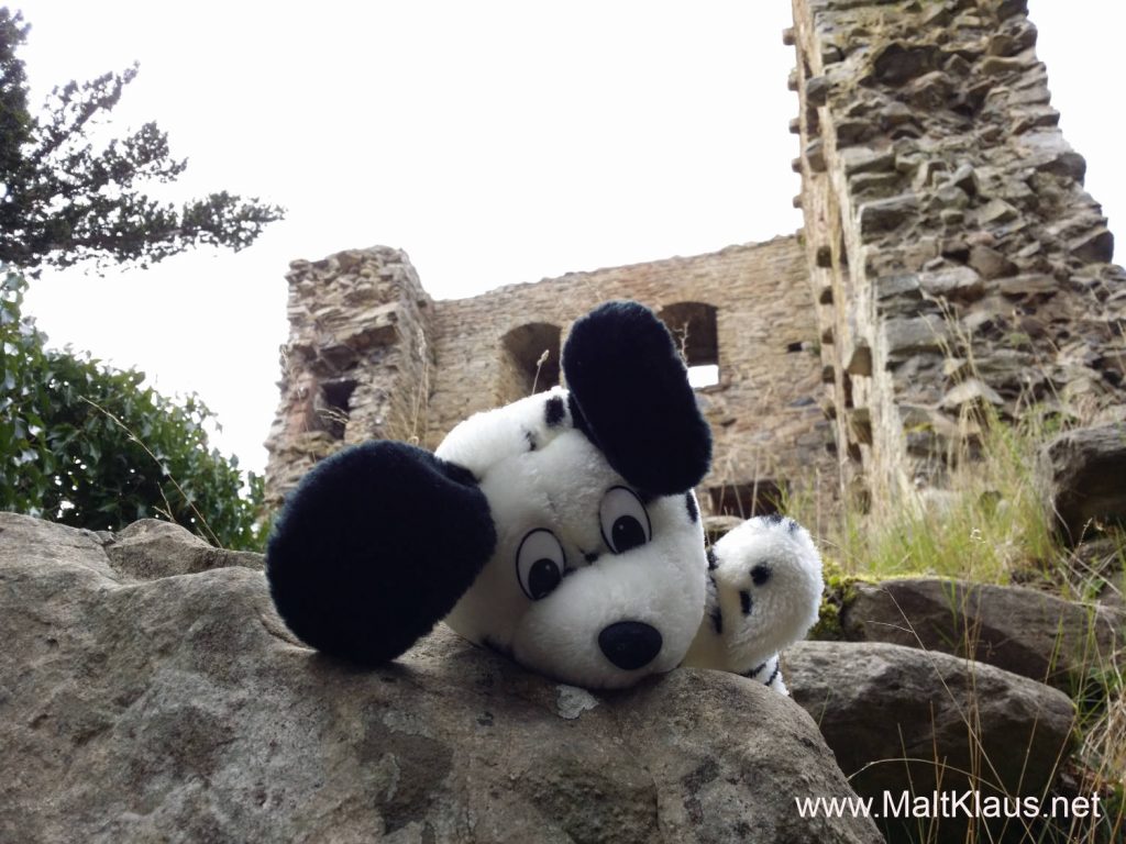 Sniffy sniffing around the castle ruin