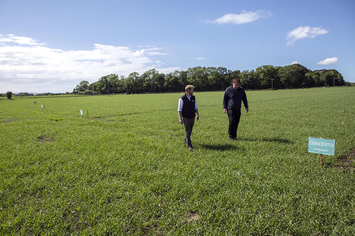 Production Director Allan Logan and Head Distiller Adam Hannett inspect trial plots planted on Islay in 2016.(Picture: Bruichladdich)