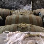 Casks in a whisky warehouse at Springbank distillery, Scotland