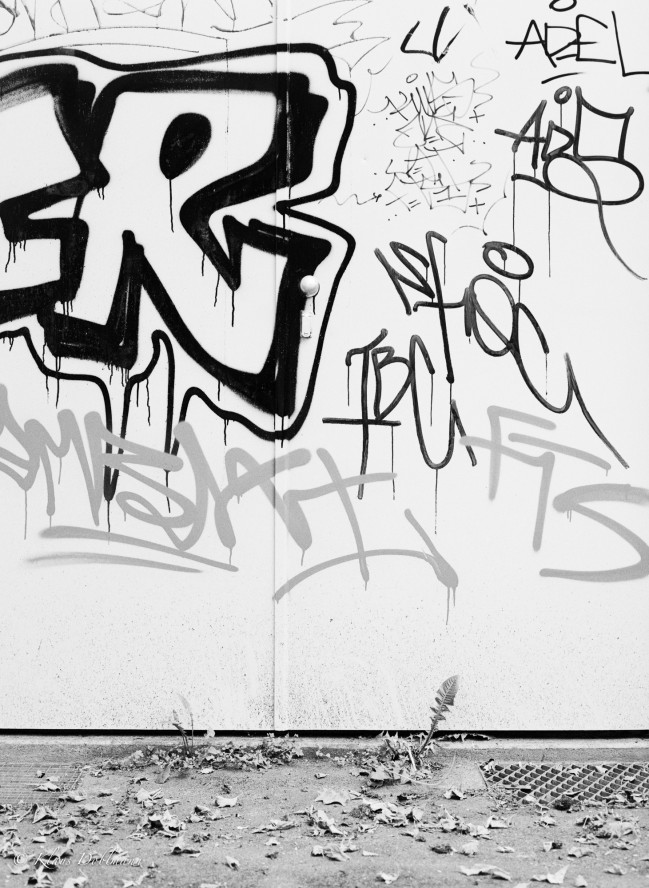 Graffitti und Laub
